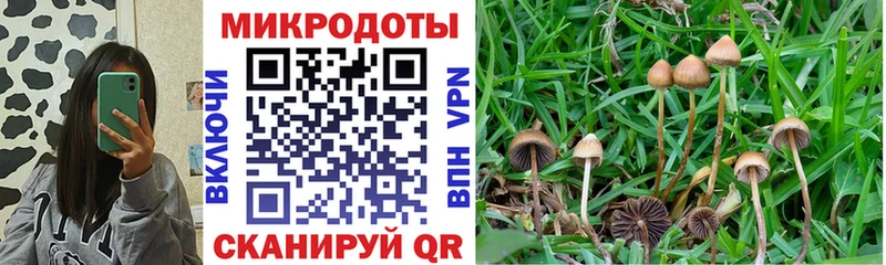 Купить закладки  Алагир  Псилоцибиновые грибы мухоморы 