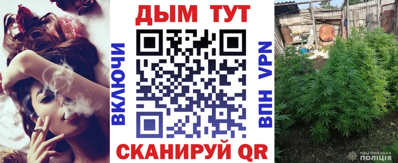 МАРИХУАНА White Widow  Купить закладки  Алагир 